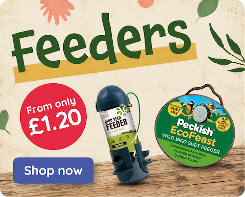 Bird Feeders